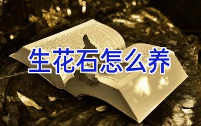 生花石怎么养插图 生花石怎么养插图