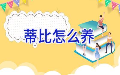 蒂比怎么养插图