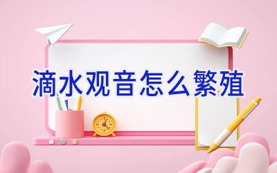 滴水观音怎么繁殖插图 滴水观音怎么繁殖插图
