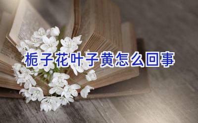 栀子花叶子黄怎么回事插图