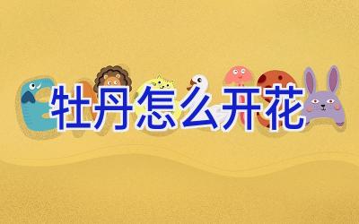 牡丹怎么开花插图 牡丹怎么开花插图