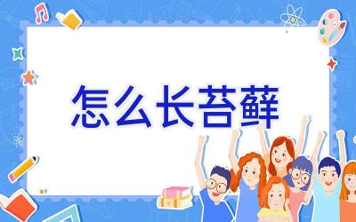 怎么长苔藓插图 怎么长苔藓插图