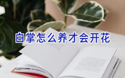 白掌怎么养才会开花插图 白掌怎么养才会开花插图