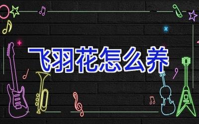 飞羽花怎么养插图
