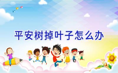 平安树掉叶子怎么办插图 平安树掉叶子怎么办插图