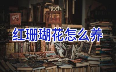 红珊瑚花怎么养插图 红珊瑚花怎么养插图