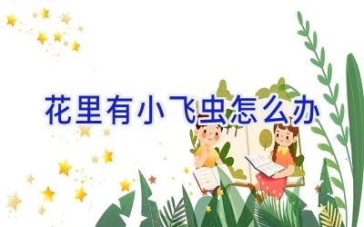 花里有小飞虫怎么办插图 花里有小飞虫怎么办插图