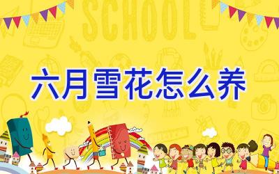 六月雪花怎么养插图 六月雪花怎么养插图