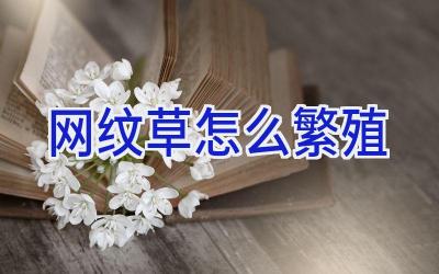 网纹草怎么繁殖插图