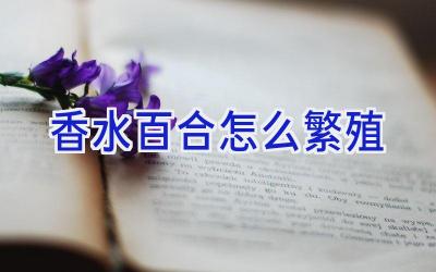 香水百合怎么繁殖插图 香水百合怎么繁殖插图