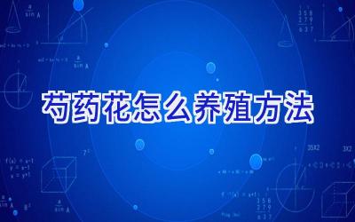 芍药花怎么养殖方法插图 芍药花怎么养殖方法插图