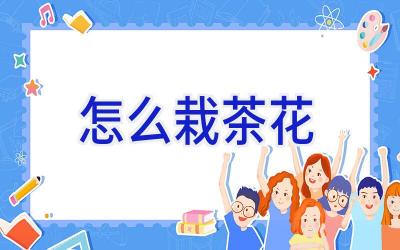 怎么栽茶花插图