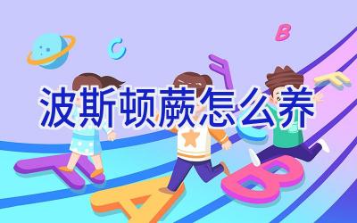 波斯顿蕨怎么养插图