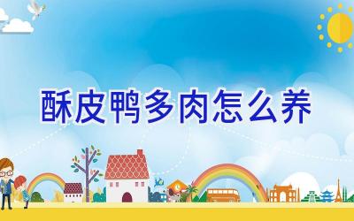 酥皮鸭多肉怎么养插图 酥皮鸭多肉怎么养插图