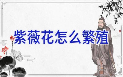 紫薇花怎么繁殖插图