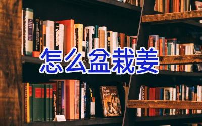 怎么盆栽姜插图