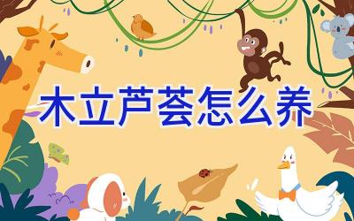 木立芦荟怎么养插图