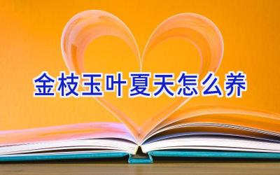 金枝玉叶夏天怎么养插图