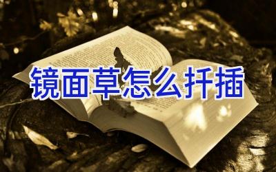 镜面草怎么扦插插图 镜面草怎么扦插插图