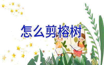 怎么剪榕树插图