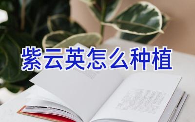 紫云英怎么种植插图 紫云英怎么种植插图