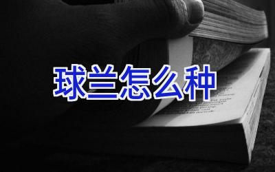 球兰怎么种插图 球兰怎么种插图