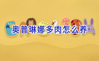 奥普琳娜多肉怎么养插图