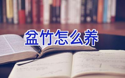 盆竹怎么养插图