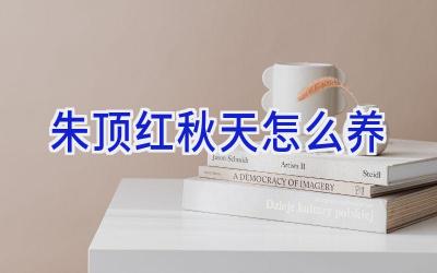 朱顶红秋天怎么养插图