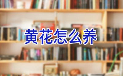 黄花怎么养插图