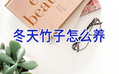 冬天竹子怎么养插图 冬天竹子怎么养插图