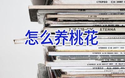 怎么养桃花插图 怎么养桃花插图