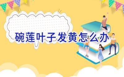 碗莲叶子发黄怎么办插图 碗莲叶子发黄怎么办插图