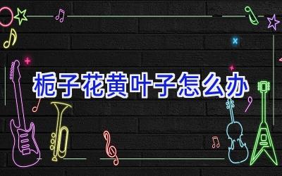 栀子花黄叶子怎么办插图 栀子花黄叶子怎么办插图