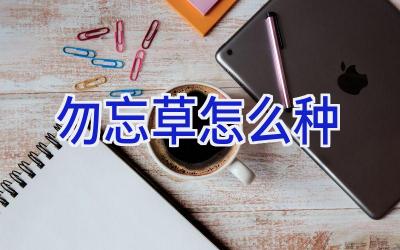 勿忘草怎么种插图 勿忘草怎么种插图