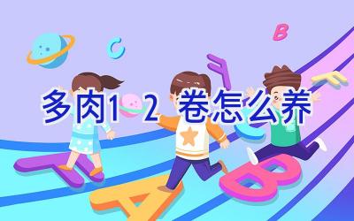 多肉12卷怎么养插图