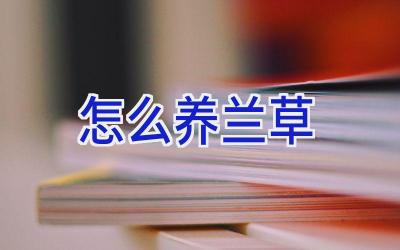 怎么养兰草插图 怎么养兰草插图