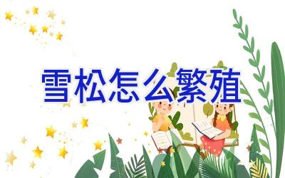 雪松怎么繁殖插图
