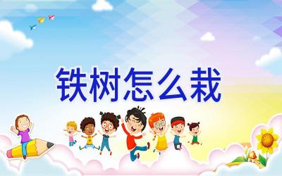 铁树怎么栽插图