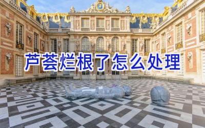 芦荟烂根了怎么处理插图 芦荟烂根了怎么处理插图