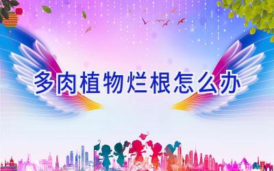 多肉植物烂根怎么办插图