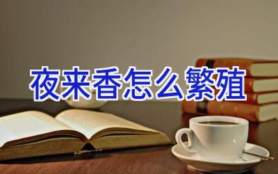 夜来香怎么繁殖插图