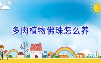 多肉植物佛珠怎么养插图