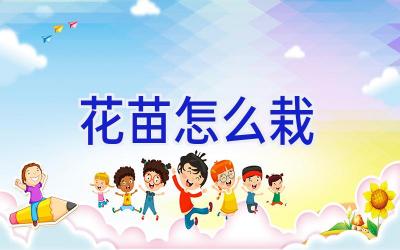 花苗怎么栽插图 花苗怎么栽插图