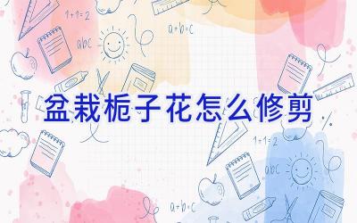 盆栽栀子花怎么修剪插图 盆栽栀子花怎么修剪插图