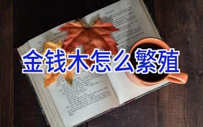 金钱木怎么繁殖插图 金钱木怎么繁殖插图