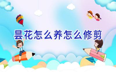 昙花怎么养怎么修剪插图 昙花怎么养怎么修剪插图
