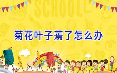 菊花叶子蔫了怎么办插图