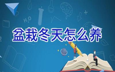 盆栽冬天怎么养插图 盆栽冬天怎么养插图