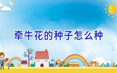 牵牛花的种子怎么种插图 牵牛花的种子怎么种插图